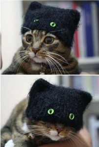 kittyhat